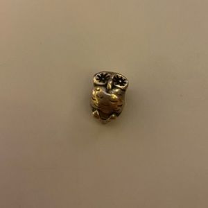 Owl Pandora Charm
